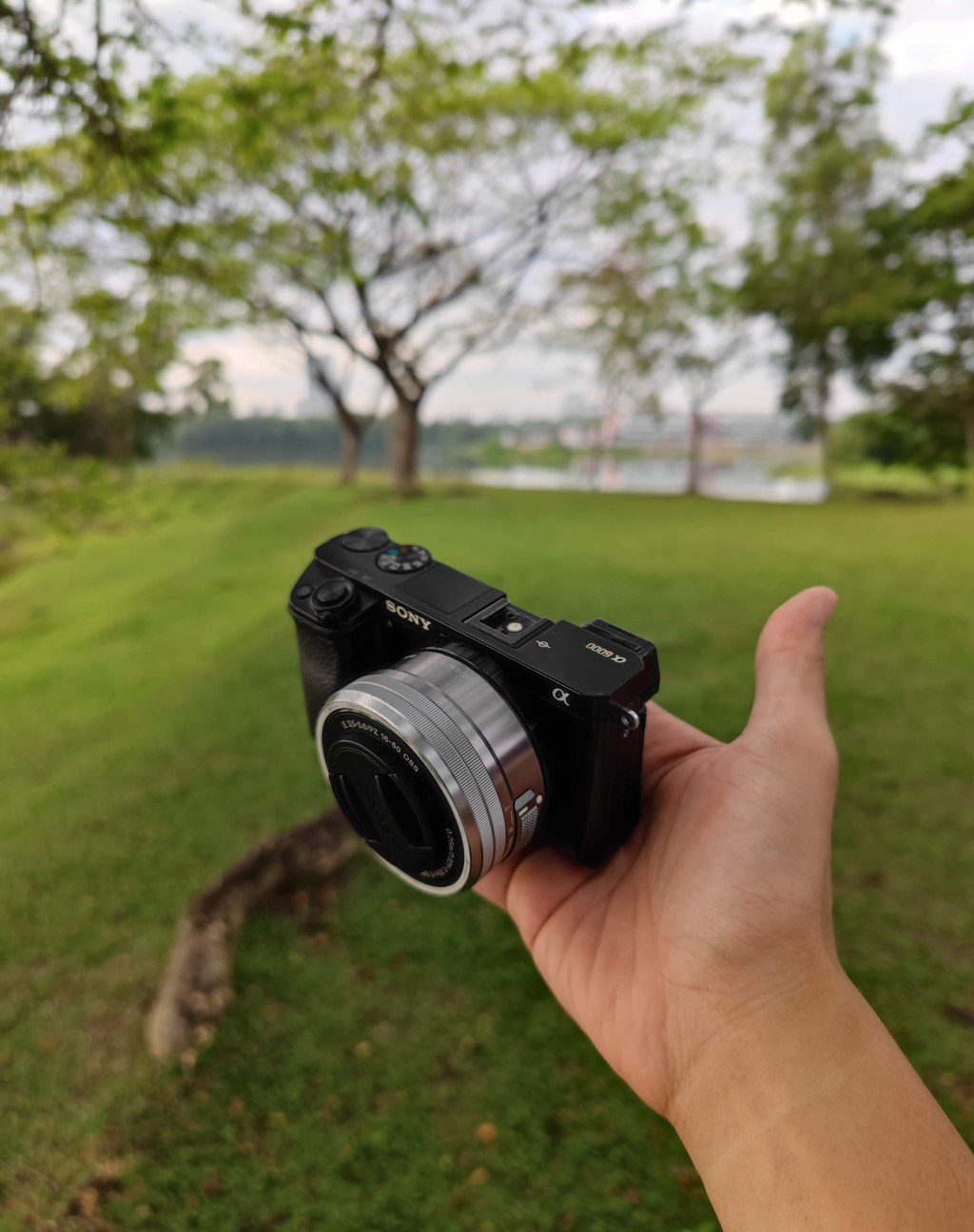 Sony a6000 + E PZ 16-50 f/3.5-5.6 OSS (kit&nbsp;lens)