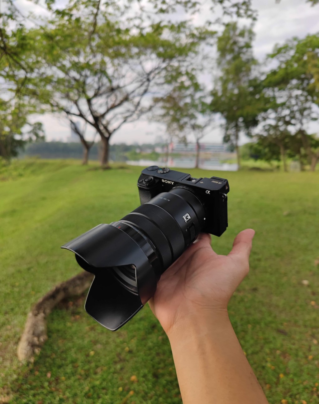 Sony a6000 + E PZ 18-105mm f/4 G&nbsp;OSS