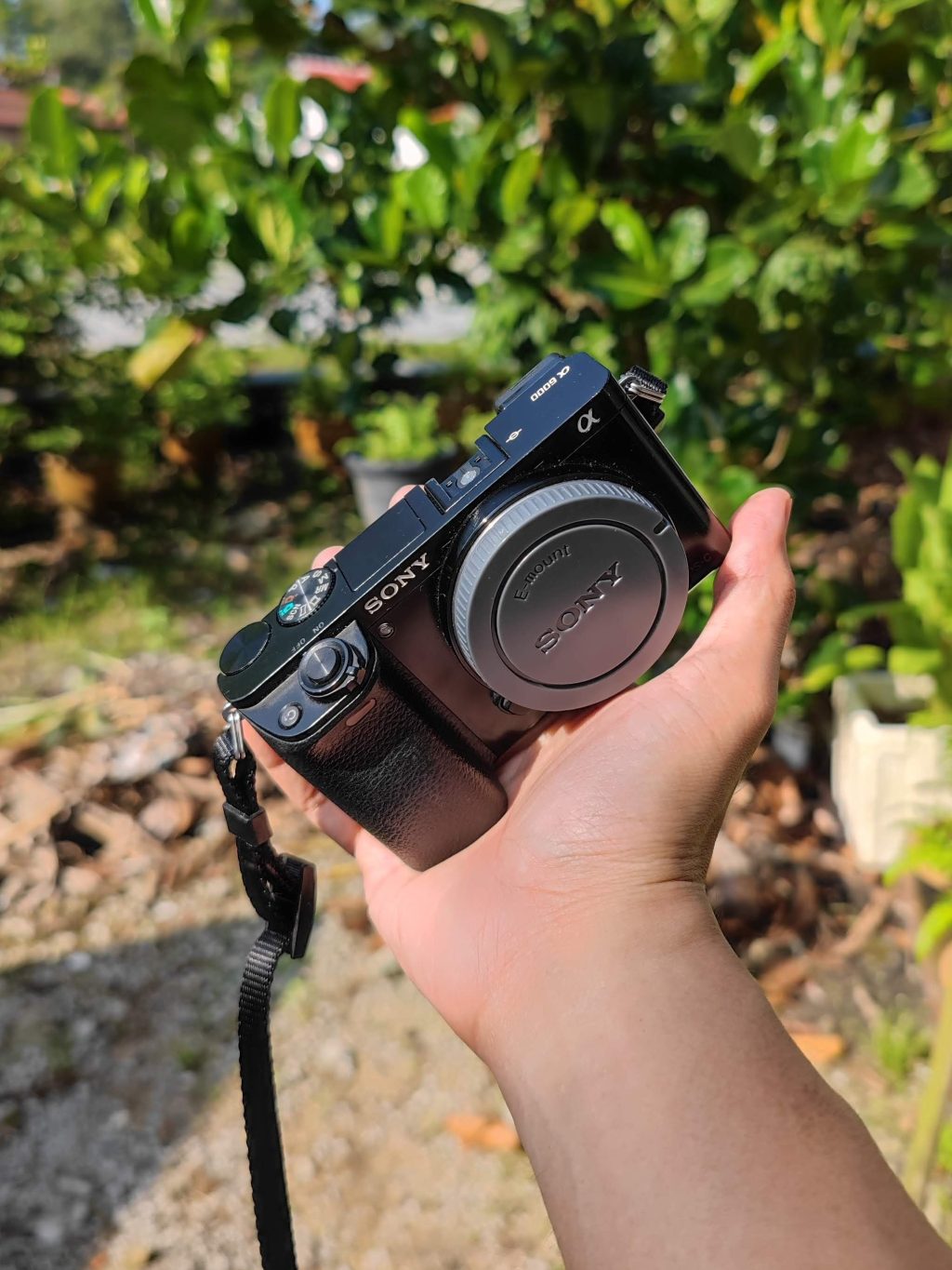 Sony a6000 Body